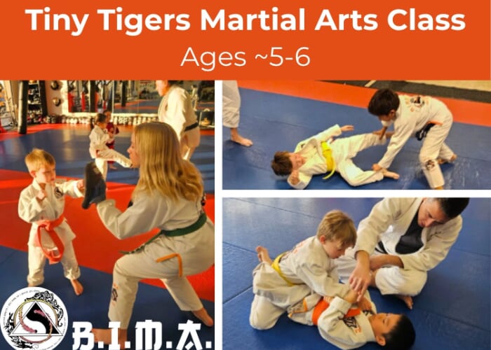 Tiny Tigers Martial Arts (Ages ~5-6)