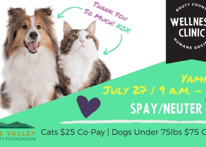 Low-Cost Cat Spay & Neuter Clinic — Yampa