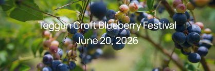 Teggun Croft Blueberry Festival