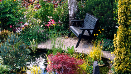 Designing a Healing Garden