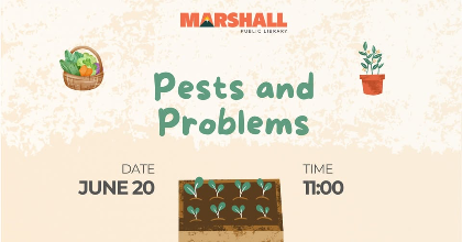 Pests and Problems