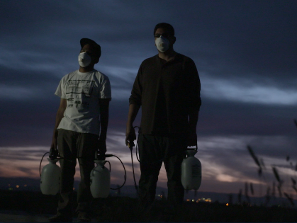 KADIST: Fertile Resistance Beneath the Surface