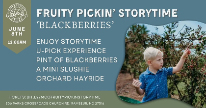 Blackberries