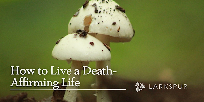 How to Live a Death-Affirming Life