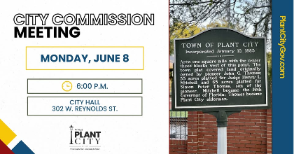 City Commission Meeting