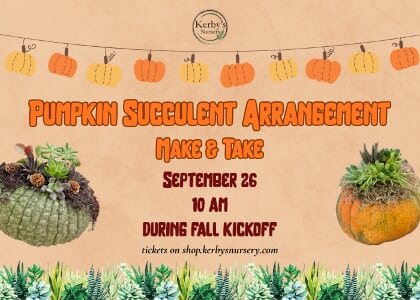 Pumpkin Succulent Arrrangement Make & Take at Kerby's Nursery