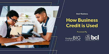 ThinkB!G: How Business Credit is Used