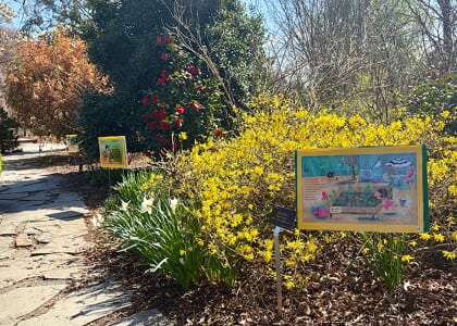 Garden Story Walk