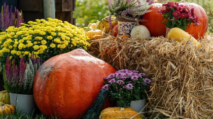 Harvest Garden & Art Fair