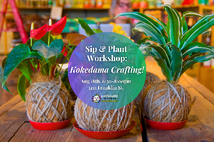 Sip & Plant Workshop: Kokedama Crafting!