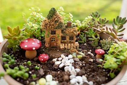 Large Fairy Garden Workshop