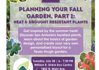 Planning Your Fall Garden, Part I: Heat & Drought Resistant Plants