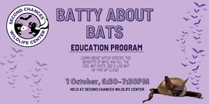 Batty About Bats