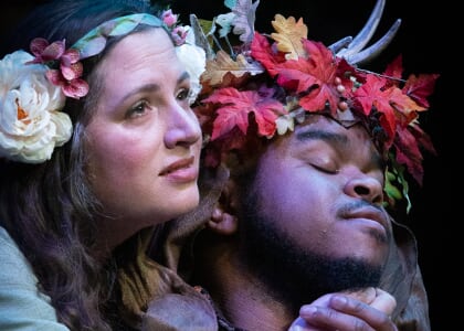 A Midsummer Night's Dream