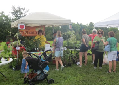 Tomato Festival