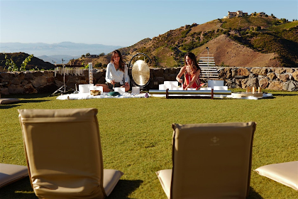 Golden Hour Energy Reset Meditation in the Vineyard