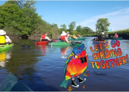 Let's Go Birding Together! A Pride Month Birding Paddle