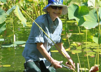 Dirt Gardeners at Weymouth Center