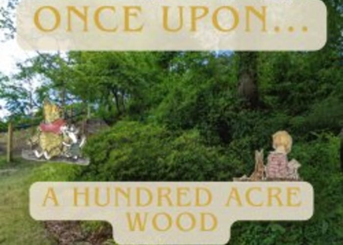 Once Upon...A Hundred Acre Wood