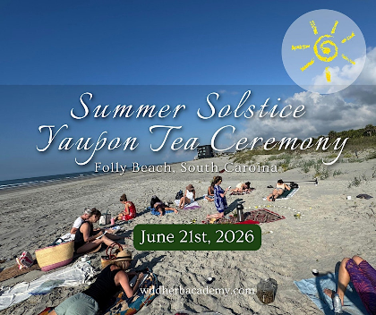 Summer Solstice Yaupon Tea Ceremony