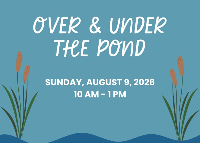 Over & Under the Pond