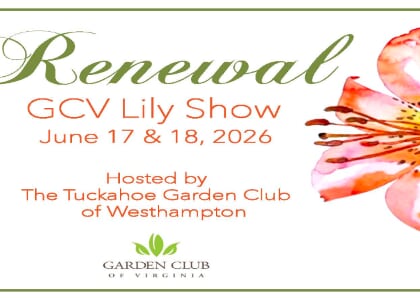 GCV "Renewal" Lily Show 2026