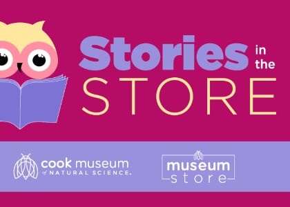 Stories in the Store