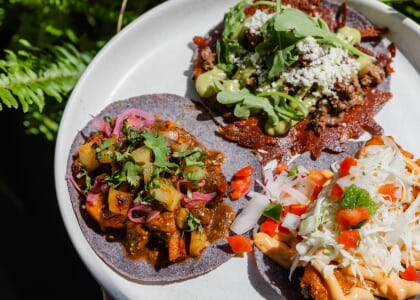 Amasa x The Standard Pop-Up Dinner
