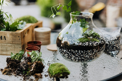Build a Tiny World: Kids Terrarium Workshop in Raleigh