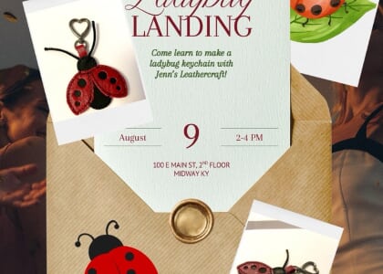 Ladybug Landing