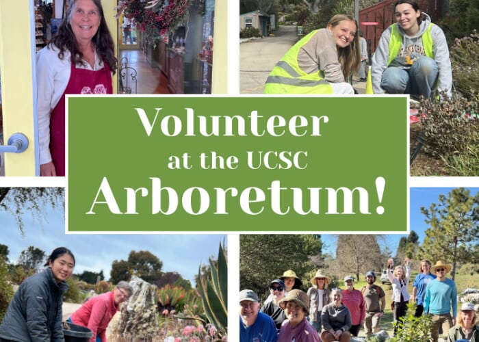 Volunteer Information Session - Every 2nd Tuesday of the Month