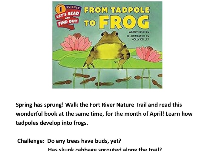 Story Book Trail: From Tadpole To Frog - WWLP-22News Calendar