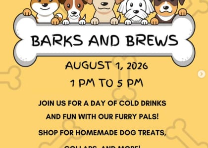 Dog Market at Benchtop