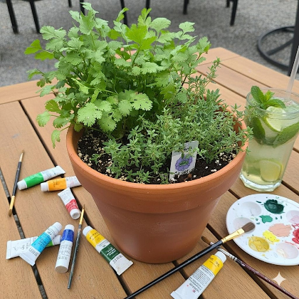 Plant Paint & Sip