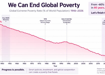 The Borgen Project, Contacting Government, and ending Global Poverty