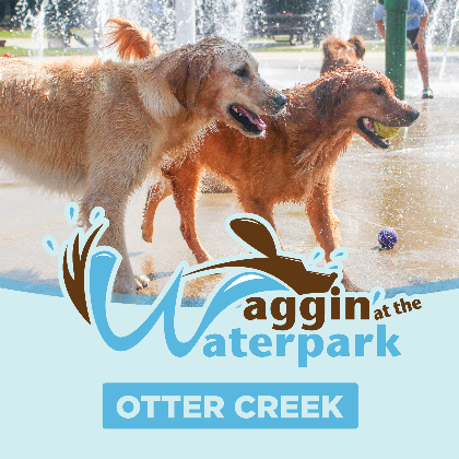 Waggin' at the Waterpark