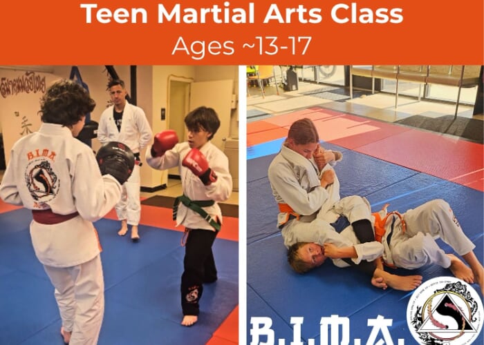 Teens Martial Arts (Ages ~13-17)