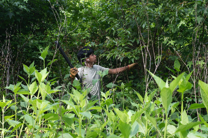 Master Gardener Series: Give Yourself a Fighting Chance Against Invasive Plants