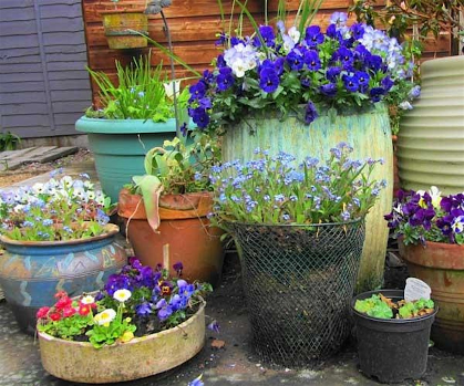 Think Green Thursday: Container Gardening