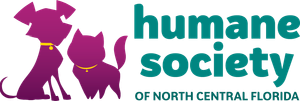 Humane Society of North Central Florida Storytime with Kittens (for kids ages 4-6)