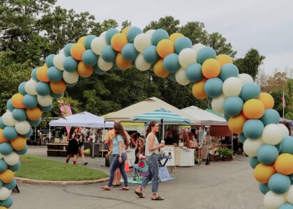 Pop Up in the Pines
