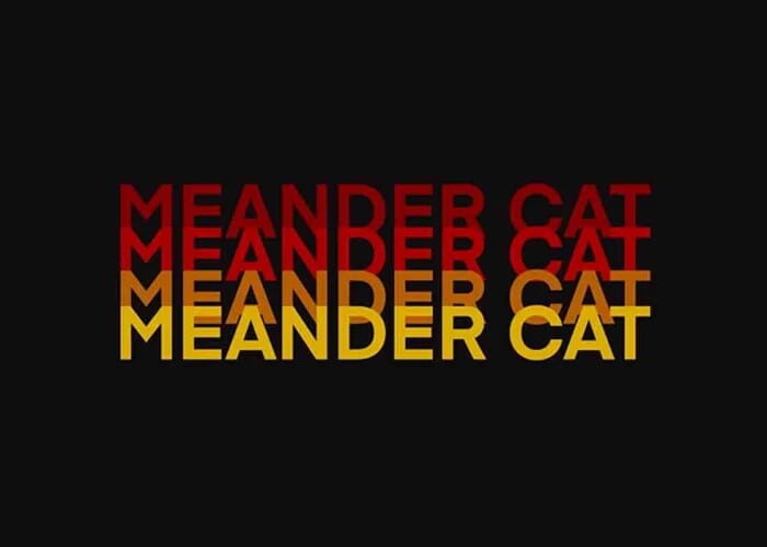 Meander Cat