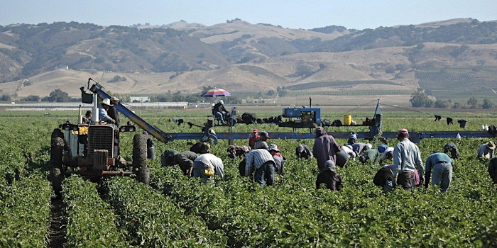 Farmworker Reality Tour