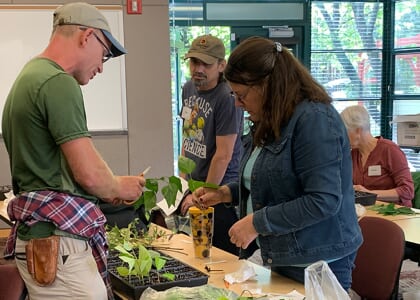 Propagation Workshop: "Advanced Softwood Cuttings"