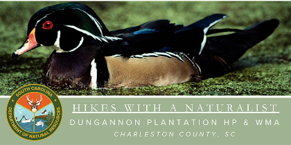 Hikes with a Naturalist - Dungannon Plantation Heritage Preserve and WMA