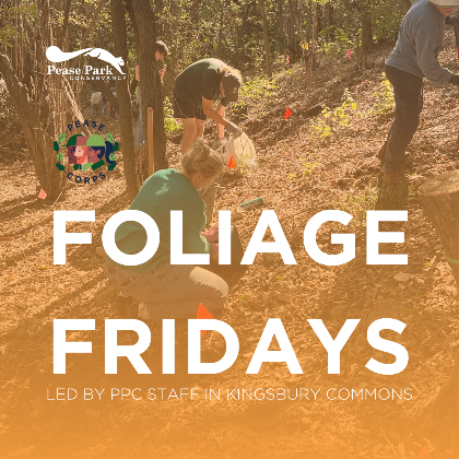Foliage Fridays in Kingsbury Commons
