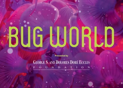 Bug World: A special exhibition at NHMU