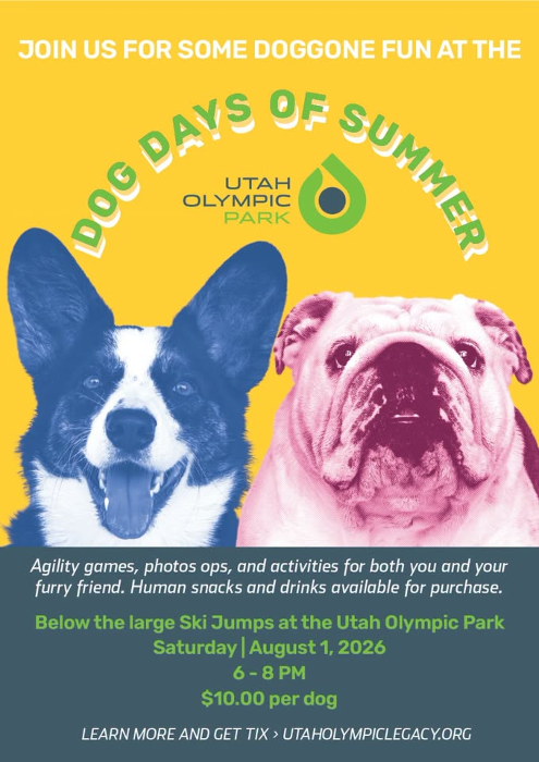 Dog Days of Summer