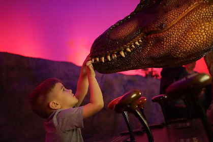 Create-A-Saurus Program