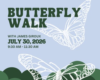 Butterfly Walk in the Garden!